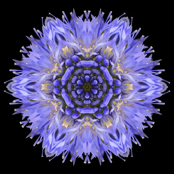 Blue Mandala Flower Kaleidoscope Isolated on Black — Stock Photo, Image