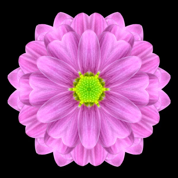 Rosa mandala blomma Kalejdoskop isolerade på svart — Stockfoto