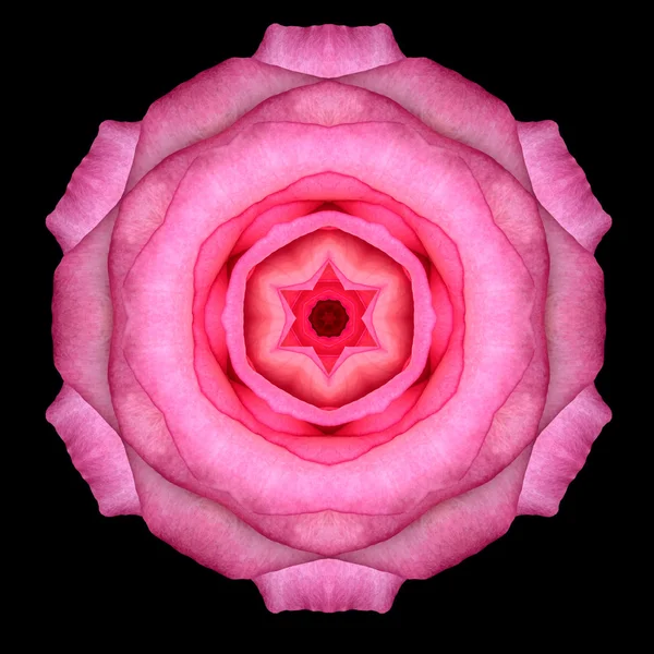 Kaléidoscope Fleur Mandala Rose Isolé sur Noir — Photo