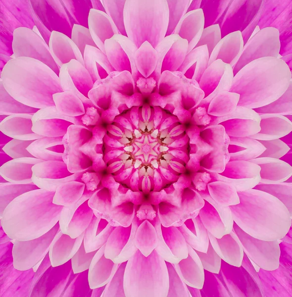 粉红色的曼荼罗同心花中心万花筒 — 图库照片
