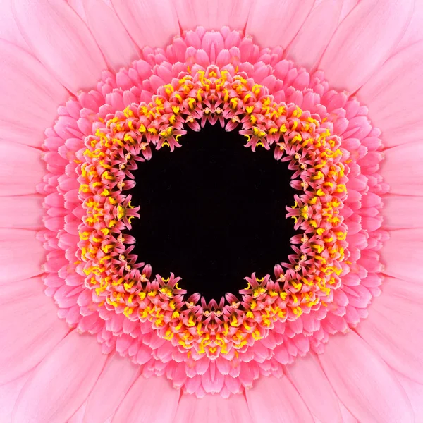 Pink Concentric Flower Center Mandala Kaleidoscope — Stock Photo, Image