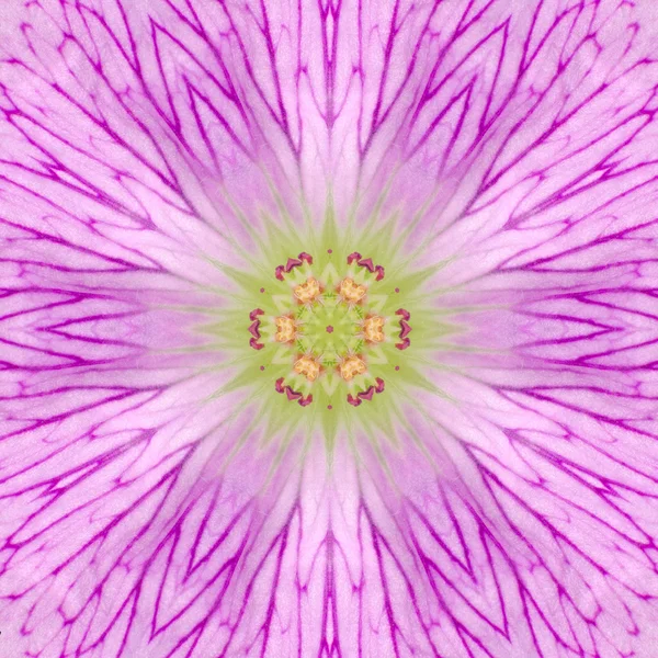 Pink Concentric Flower Center Mandala Kaleidoscope — Stock Photo, Image