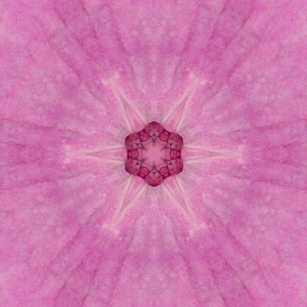 Pink Concentric Flower Center Mandala Kaleidoscope — Stock Photo, Image