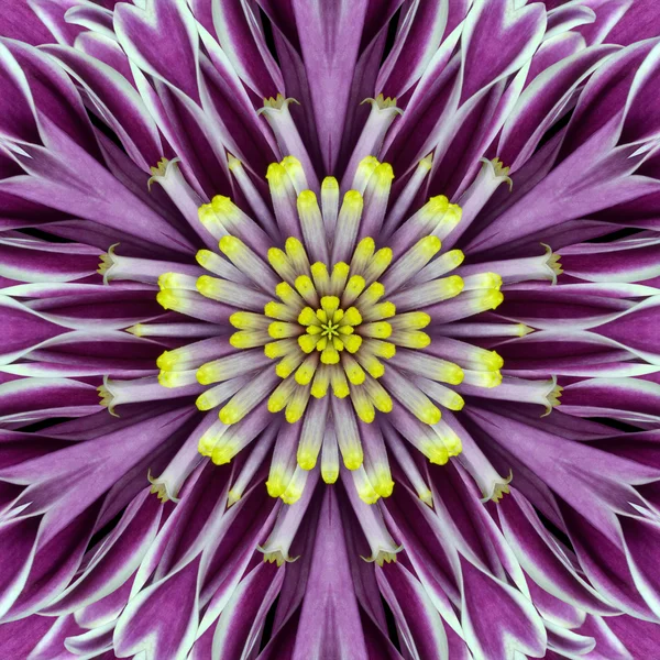 Lila koncentriska blomma center mandala kalejdoskopisk design — Stockfoto