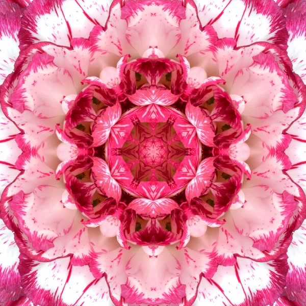 Lila konzentrische Blume Zentrum Mandala kaleidoskopisches Design — Stockfoto