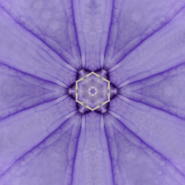 Purple Concentric Flower Center Mandala Conception kaléidoscopique — Photo