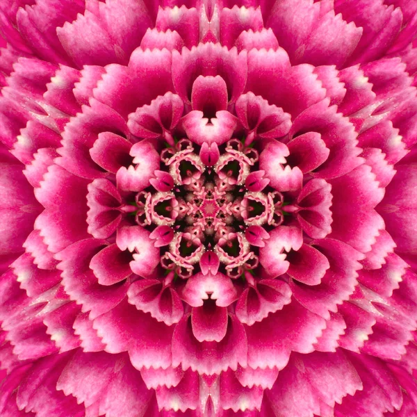 Diseño caleidoscópico de Mandala del centro de flores concéntrico púrpura — Foto de Stock
