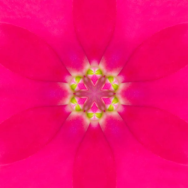Lila koncentriska blomma center mandala kalejdoskopisk design — Stockfoto