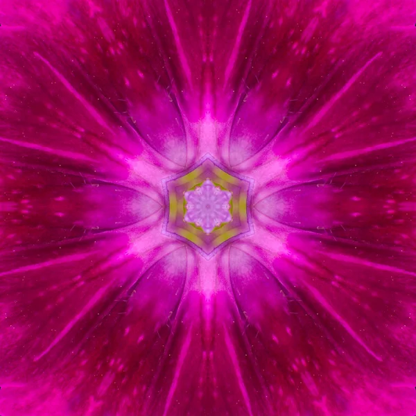 Purple Mandala Flower Kaleidoscope Isolated on Black — Stock Photo, Image