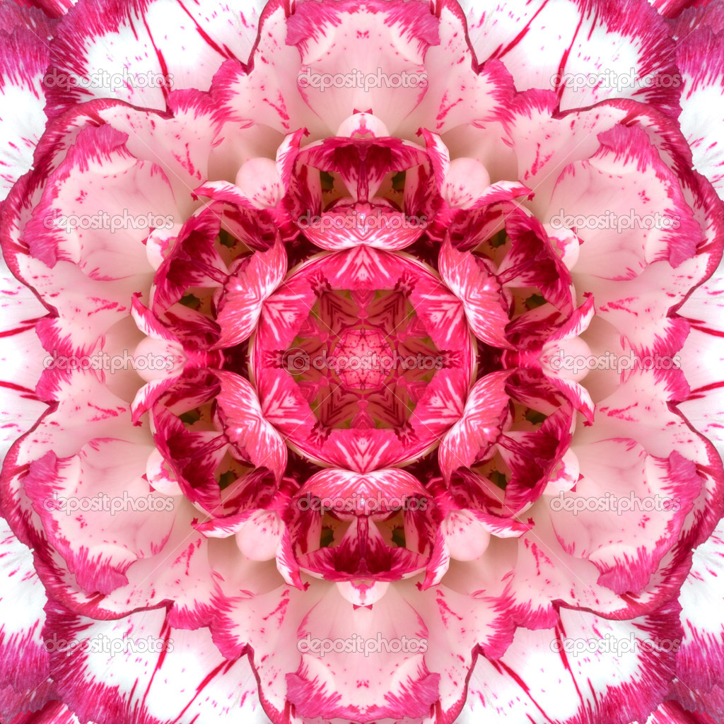 Purple Concentric Flower Center Mandala Kaleidoscopic design