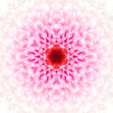 Beyaz mandala konsantrik çiçek Merkezi kaleidoscope
