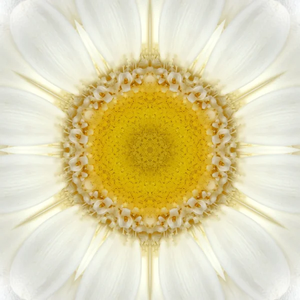 Caleidoscopio del centro de flores concéntrico Mandala blanco — Foto de Stock