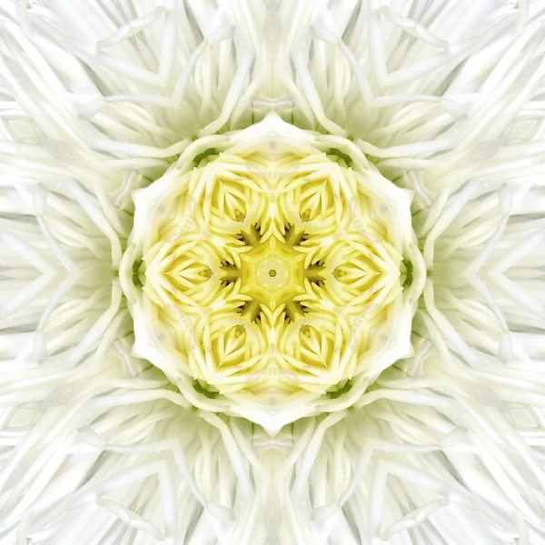 White Mandala Concentric Flower Center Kaleidoscope — Stock Photo, Image