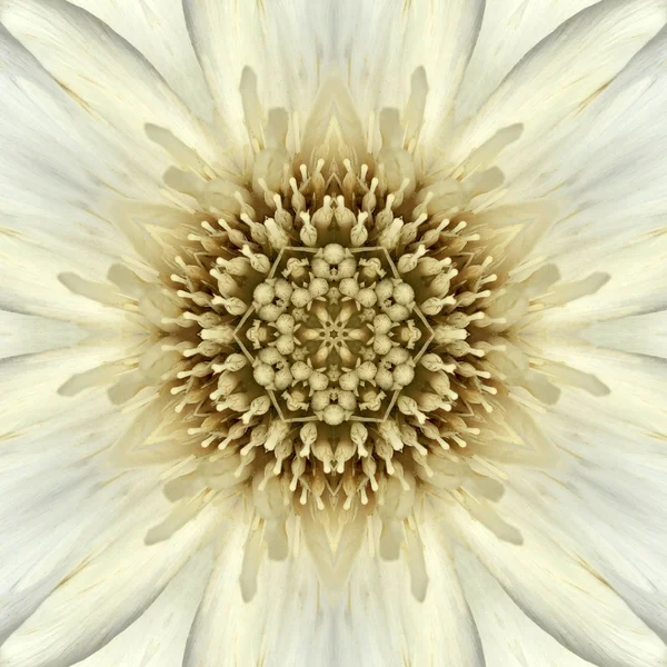 Белый Мандала Концентрический цветочный центр Калейдоскоп — стоковое фото