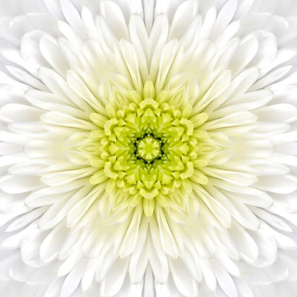 Vit mandala koncentriska blomma center Kalejdoskop — Stockfoto