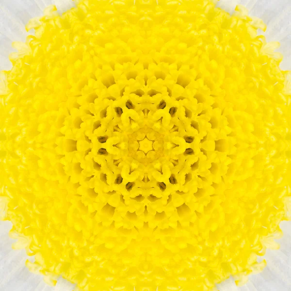 White Mandala Concentric Flower Center Kaleidoscope — Stock Photo, Image