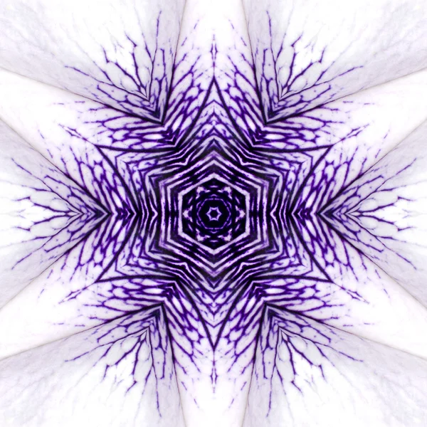 White Mandala Concentric Flower Center Kaleidoscope — Stock Photo, Image