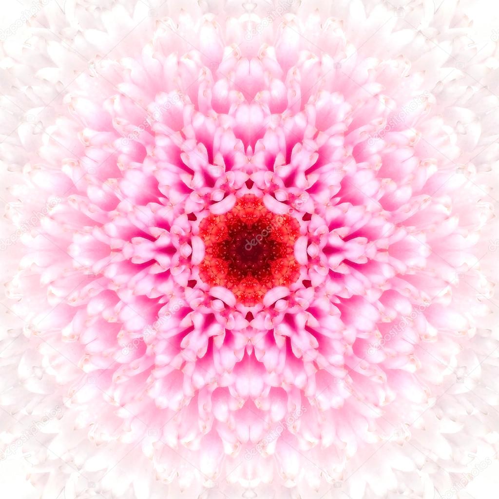 White Mandala Concentric Flower Center Kaleidoscope