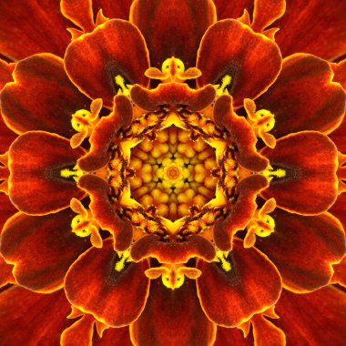 Kırmızı mandala konsantrik çiçek Merkezi kaleidoscope