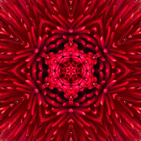 Röd mandala koncentriska blomma center Kalejdoskop — Stockfoto