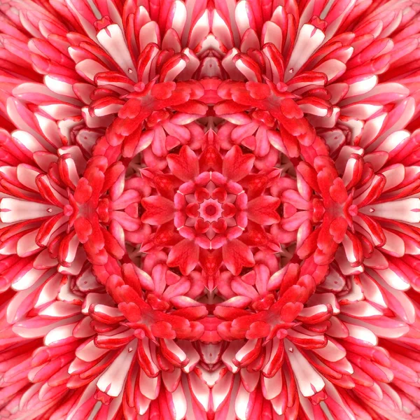 Rode mandala concentrische bloem centrum Caleidoscoop — Stockfoto