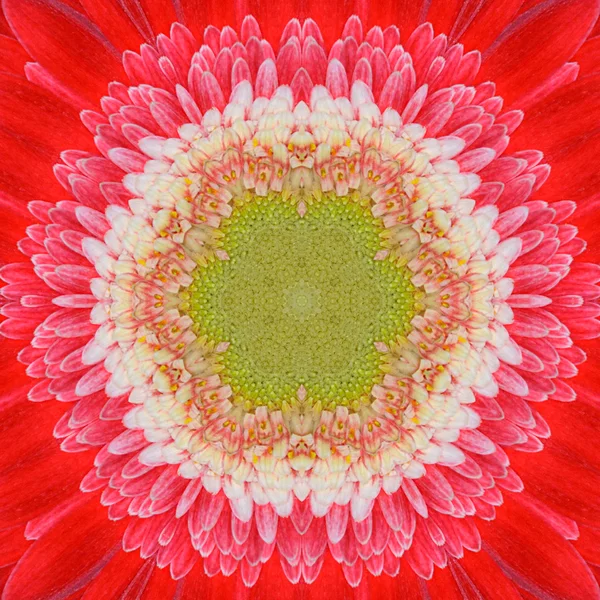 Caleidoscopio del centro de flores concéntrico Mandala rojo —  Fotos de Stock