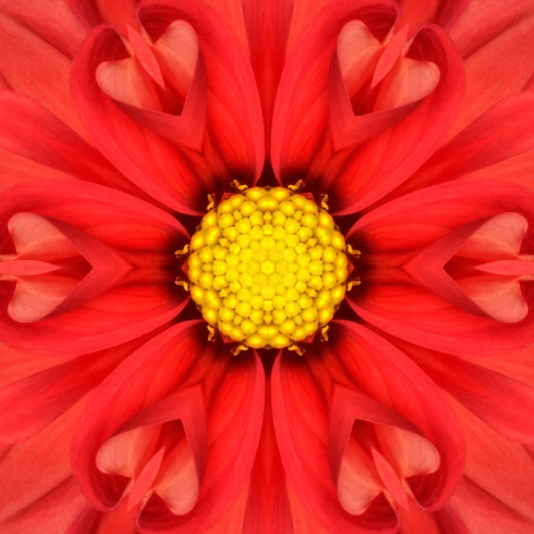 Red Mandala Concentric Flower Center Kaleidoscope — Stock Photo, Image