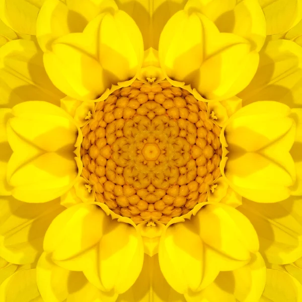 Gelbes Mandala konzentrisches Blütenzentrum Kaleidoskop — Stockfoto