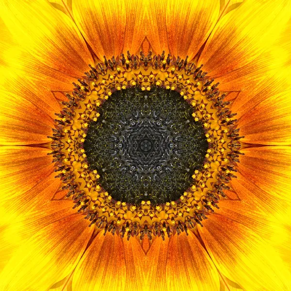 Yellow Mandala Concentric Flower Center Kaleidoscope — Stock Photo, Image