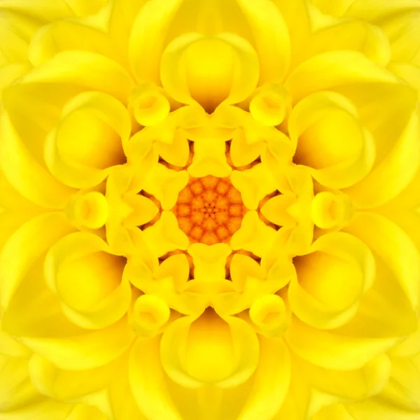 Gele mandala concentrische bloem centrum Caleidoscoop — Stockfoto