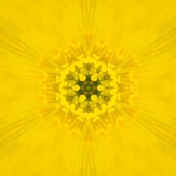 Gul mandala koncentriska blomma center Kalejdoskop — Stockfoto