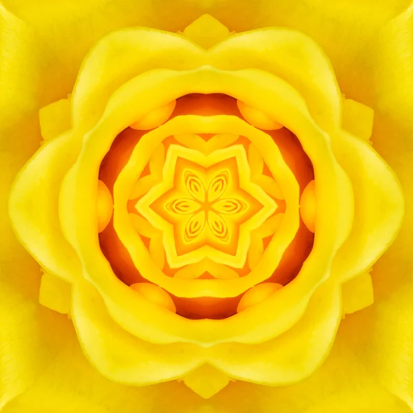 Yellow Mandala Concentric Flower Center Kaleidoscope — Stock Photo, Image