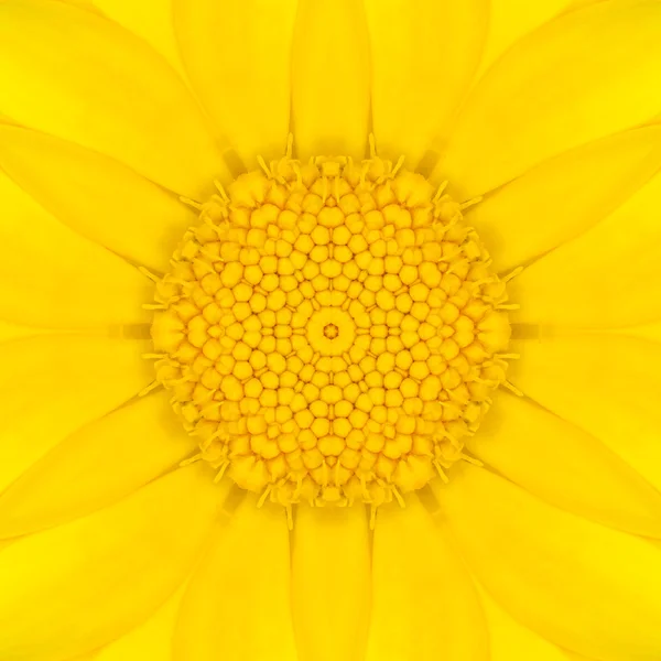 Yellow Mandala Concentric Flower Center Kaleidoscope — Stock Photo, Image