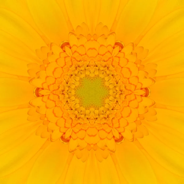 Caleidoscopio del centro floreale concentrico Mandala giallo — Foto Stock