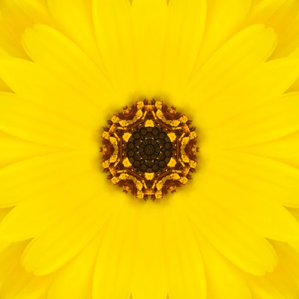 Žlutá mandala soustředné květina centrum kaleidoskop — Stock fotografie