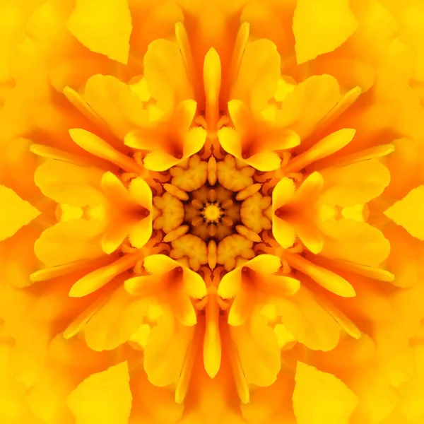 Yellow Mandala Concentric Flower Center Kaleidoscope — Stock Photo, Image