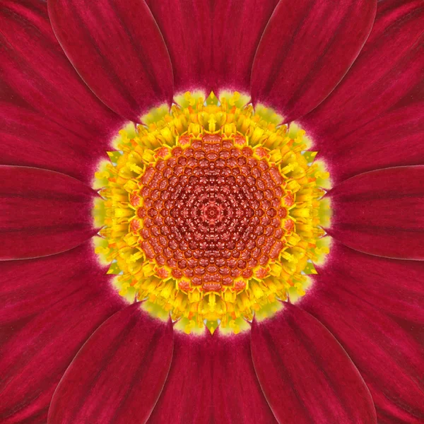 Red Concentric Flower Center. Diseño caleidoscópico Mandala — Foto de Stock
