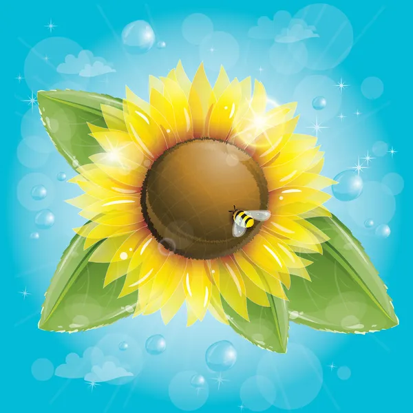 Beautiful sunflower and green leaves against blue sky — Stock Vector