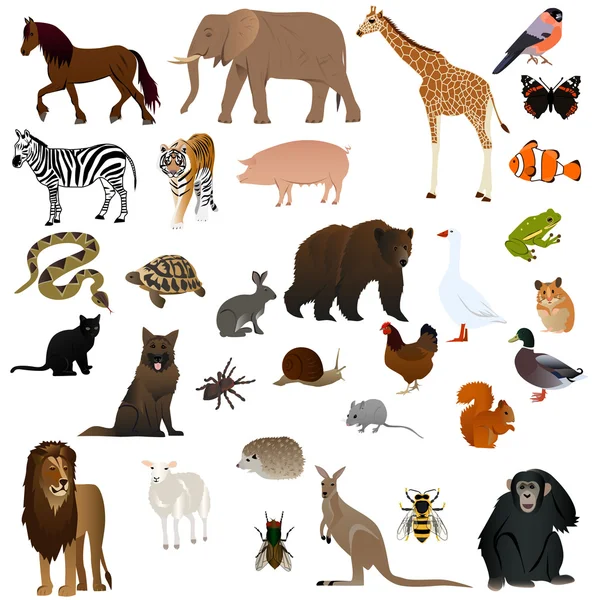 Животные 2 — стоковый вектор
