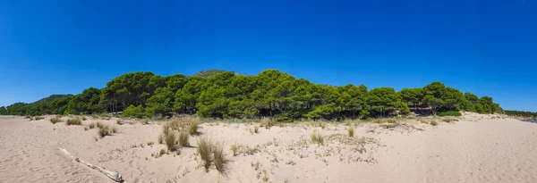Sunny costa dorada panorama. Hermosa bahía de mar bajo cielo azul claro. España —  Fotos de Stock