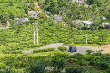 Ella Gap, Ella 'nın etrafında çay tarlası olan dağların manzarası, Sri Lanka.