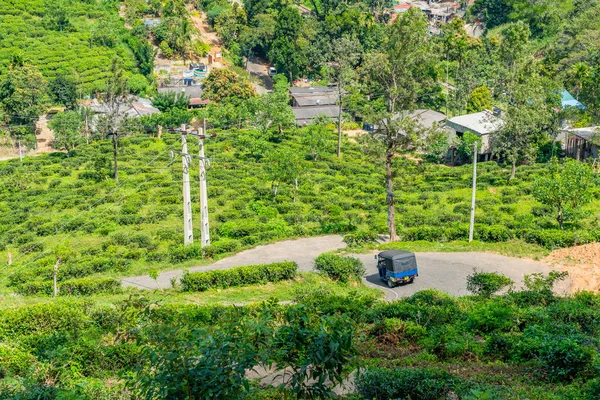 エラギャップ スリランカの茶畑とエラ周辺の茶畑と山の景色 — ストック写真