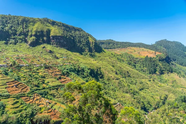 Vista panorámica de la plantación de té en el país cerca de Nuwara Eliya, Sri Lanka — Foto de Stock
