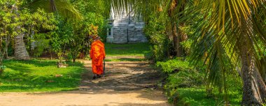 HIKKADUWA, SRI LANKA - 6 ARALIK 2008: Genç keşiş yeşil ağaçların arasından tapınağa yürür, panorama