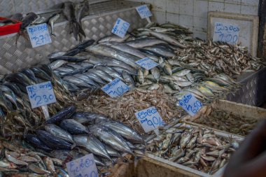 KANDY, SRI LANKA - 20 Mart Sri Lanka 'daki Kandy Market' te balık tezgahları