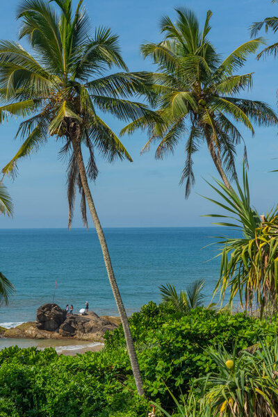 View to the Bentota beach with palm trees in Sri Lanka, people stay on a rock