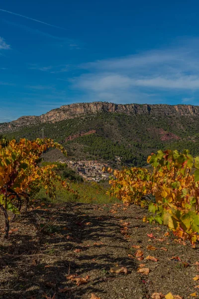 Plantas de vino en colores otoñales en los viñedos del Priorat, Tarragona, Cataluña — Foto de Stock