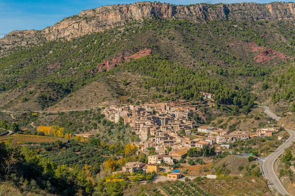 Виноградники в скалистом грунте La Vilella Felxa, Озил, Таррагона, Каталония — стоковое фото