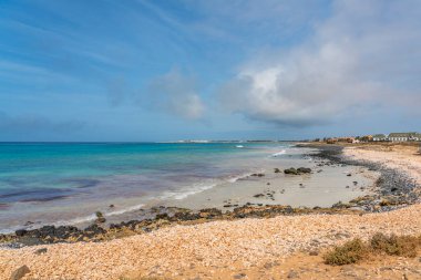 Deniz kabuğu arka planı, Sal Adası, Cape Verde sahilinde bir sürü deniz kabuğu.