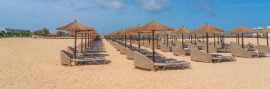 Sal Adası 'ndaki Santa Maria plajında şempanzeler - Cape Verde - Cabo Verde, arka plan mavi gökyüzü